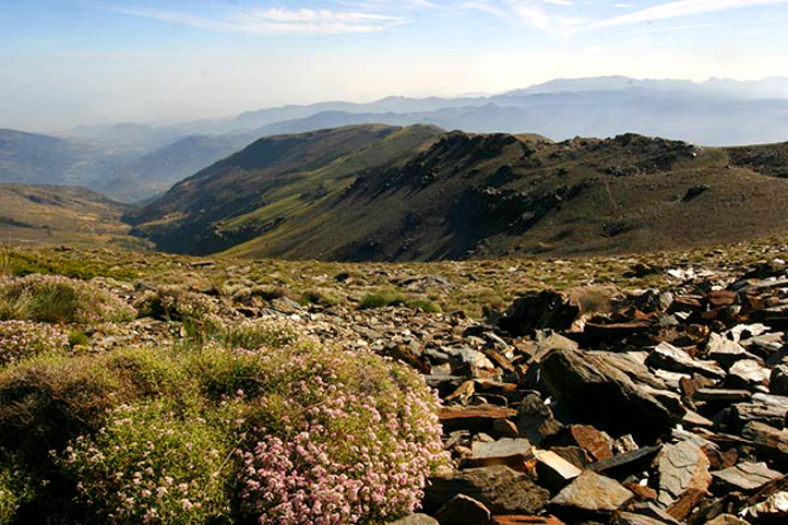Looking south towards the sea from the Sierra Nevada summits